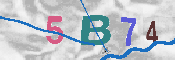 Immagine CAPTCHA